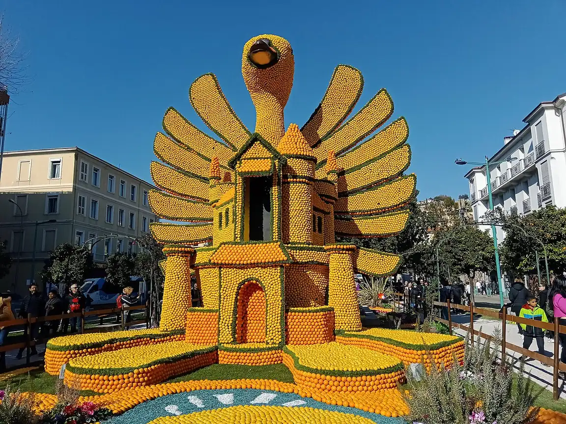 Pfauenskulptur aus Zitrusfrüchten bei der Fête du Citron in Menton 2023